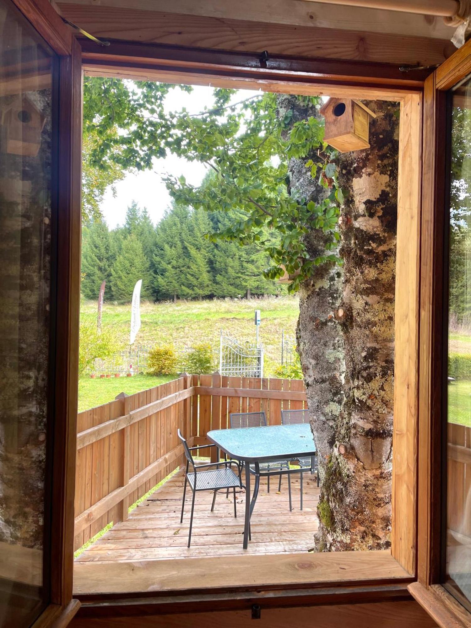 Comeglians Dolomiti Village מראה חיצוני תמונה