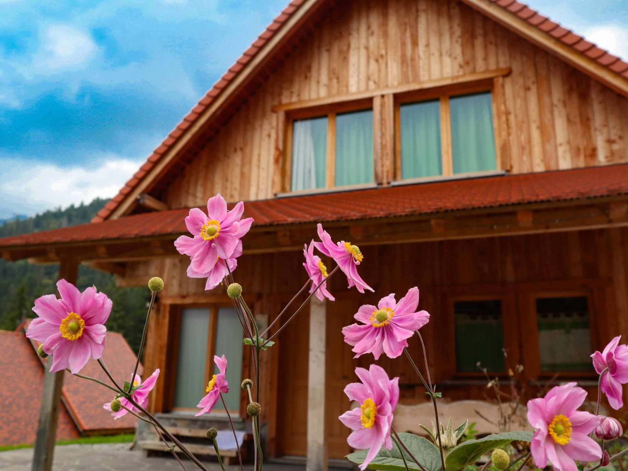Comeglians Dolomiti Village מראה חיצוני תמונה